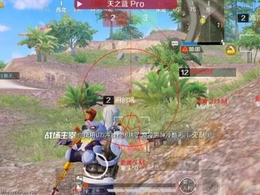 火焰鸟和平精英辅助器 - 人气辅助整合直装版